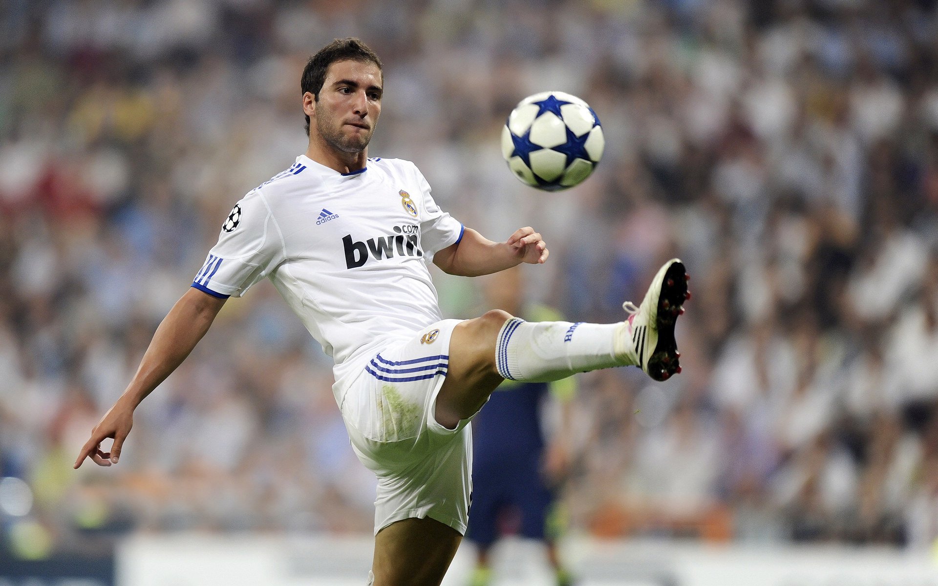 波斯铁骑冲垮东瀛武士，赖斯临危救主诠释关键先生